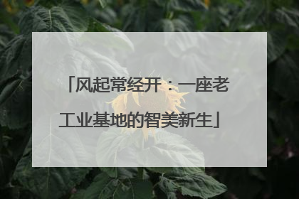 风起常经开：一座老工业基地的智美新生